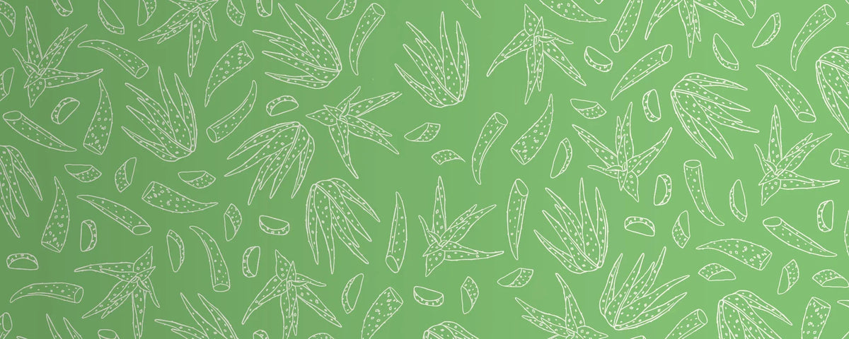 Aloe