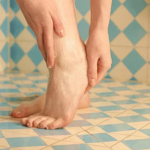 Immagine diapositiva