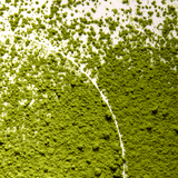 Born Lippy Matcha Latte 